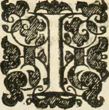 An illustration from The merchants mappe of commerce : wherein, the universall manner and matter of trade, is compendiously handled ..., 1638, leaf 463