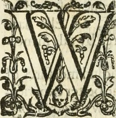An illustration from The merchants mappe of commerce : wherein, the universall manner and matter of trade, is compendiously handled ..., 1638, leaf 487