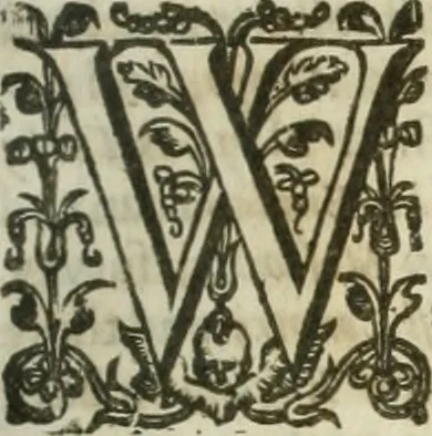 An illustration from The merchants mappe of commerce : wherein, the universall manner and matter of trade, is compendiously handled ..., 1638, leaf 518