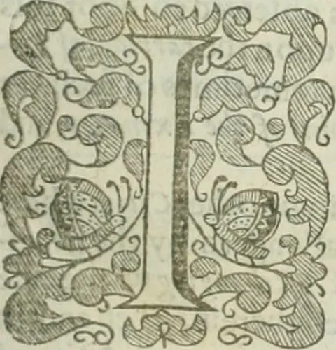 An illustration from The merchants mappe of commerce : wherein, the universall manner and matter of trade, is compendiously handled ..., 1638, leaf 528