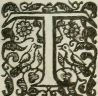 An illustration from The merchants mappe of commerce : wherein, the universall manner and matter of trade, is compendiously handled ..., 1638, leaf 570