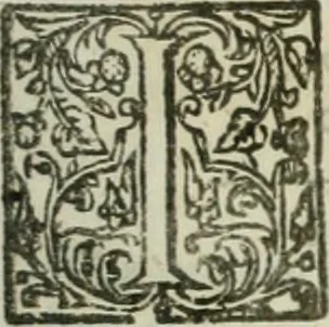 An illustration from The merchants mappe of commerce : wherein, the universall manner and matter of trade, is compendiously handled ..., 1638, leaf 608