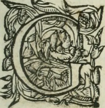 An illustration from The merchants mappe of commerce : wherein, the universall manner and matter of trade, is compendiously handled ..., 1638, leaf 720