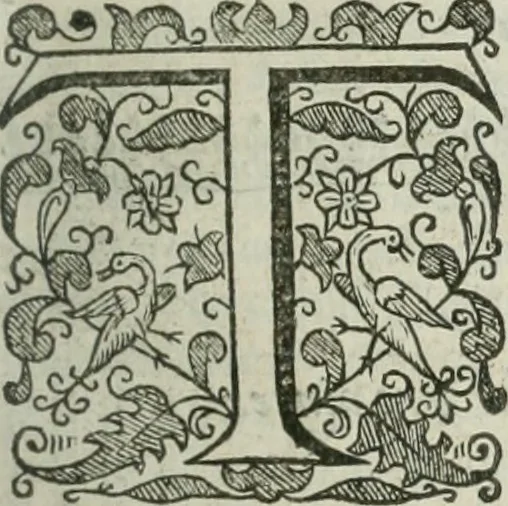 An illustration from The merchants mappe of commerce : wherein, the universall manner and matter of trade, is compendiously handled ..., 1638, leaf 92