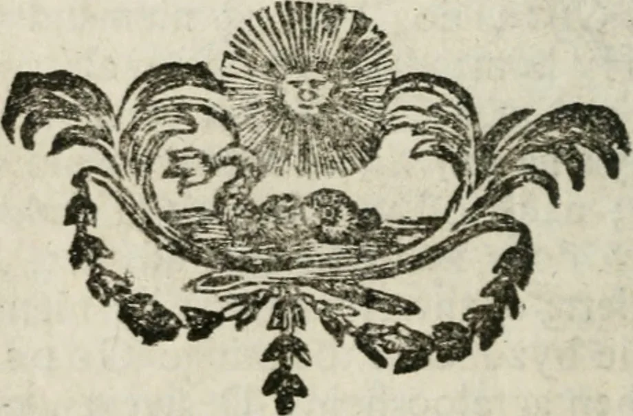 An illustration from Mercurialis, of, Winter-groen : dat is, Aangename en vermaakelyke geschiedenissen en gedichten, waarin verscheide zedelyke leerstukken. En een zeer ryke voorraad van Bybelsche concepten gevonden worden, voor alle bedroefde en vrolyke gemoederen, leeraars, predikers, en geestelyke persoonen; als mede voor alle byzondere leezers tot een voordeelig tydverdryf, namelyk, om vrolyk te leven en blymoedig te sterven, 1763, leaf 199