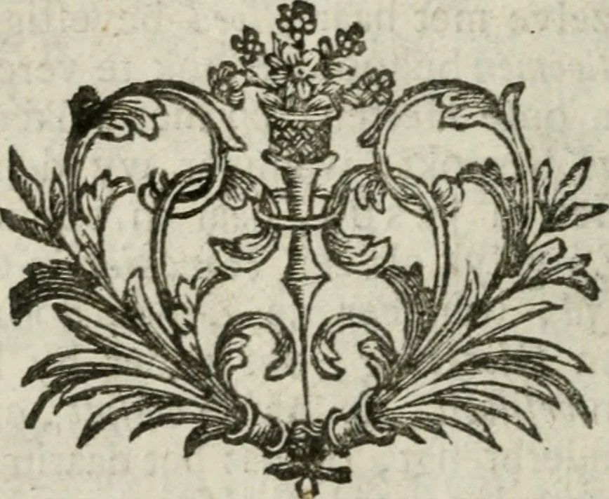 An illustration from Mercurialis, of, Winter-groen : dat is, Aangename en vermaakelyke geschiedenissen en gedichten, waarin verscheide zedelyke leerstukken. En een zeer ryke voorraad van Bybelsche concepten gevonden worden, voor alle bedroefde en vrolyke gemoederen, leeraars, predikers, en geestelyke persoonen; als mede voor alle byzondere leezers tot een voordeelig tydverdryf, namelyk, om vrolyk te leven en blymoedig te sterven, 1763, leaf 29