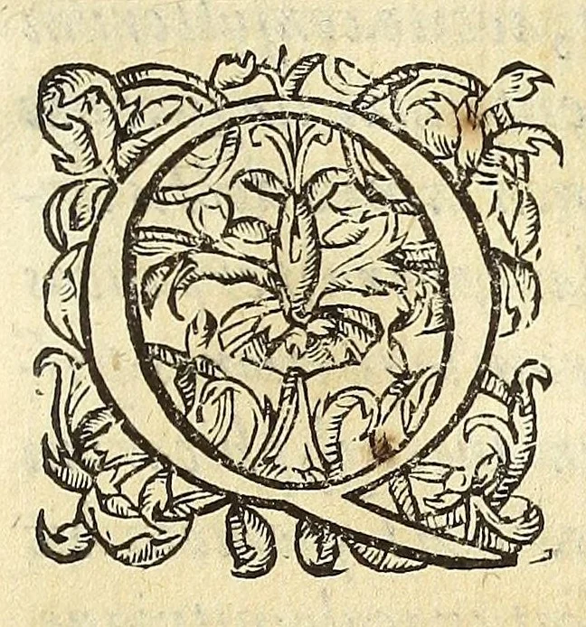 An illustration from Mercurij Trismegisti Pimandras vtraqve lingva restitvtvs, 1574, leaf 11