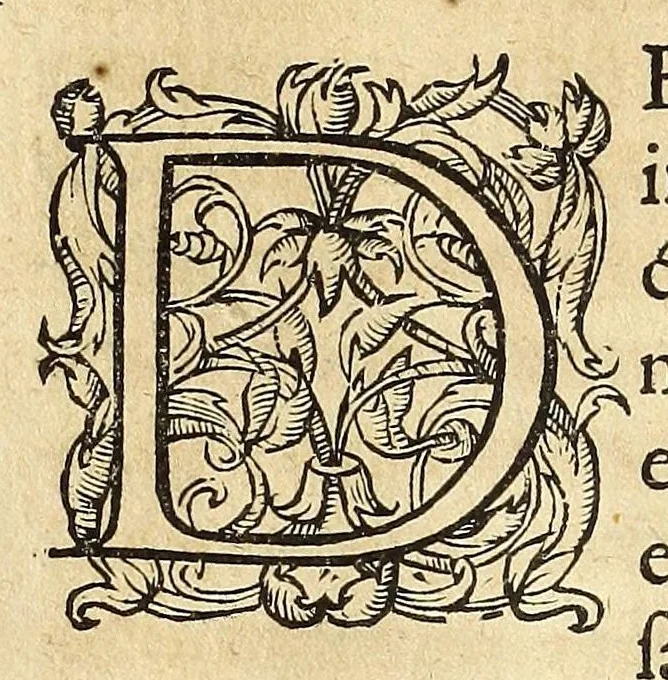 An illustration from Mercurij Trismegisti Pimandras vtraqve lingva restitvtvs, 1574, leaf 116