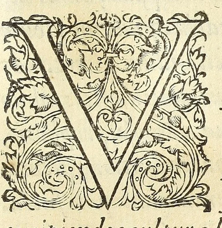 An illustration from Mercurij Trismegisti Pimandras vtraqve lingva restitvtvs, 1574, leaf 7