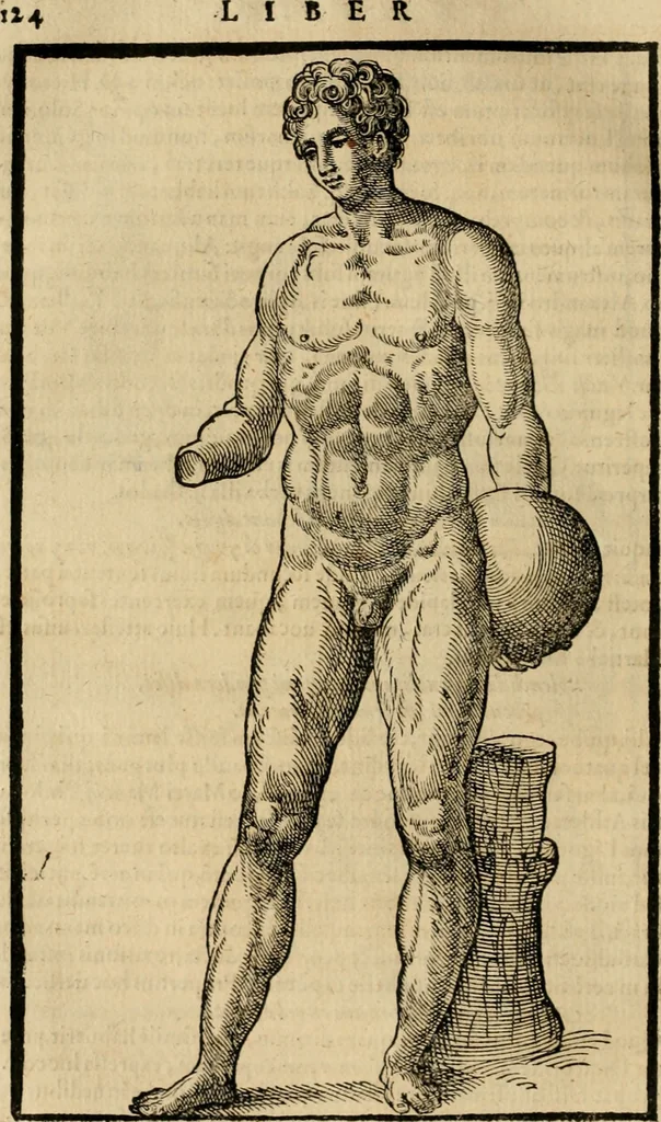An illustration from Hieronymi Mercvrialis De arte gymnastica libri sex : in quibus exercitationum omnium vetustarum genera, loca, modi, facultates, & quidquid deniq. ad corporis humani exercitationes pertinet, diligenter explicatur .., 1573, leaf 143