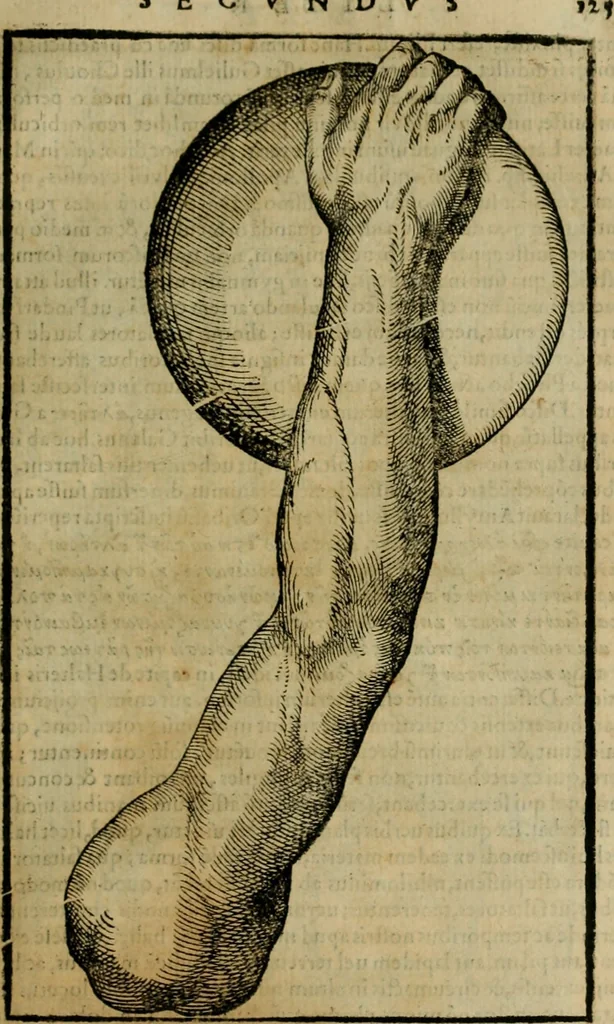 An illustration from Hieronymi Mercvrialis De arte gymnastica libri sex : in quibus exercitationum omnium vetustarum genera, loca, modi, facultates, & quidquid deniq. ad corporis humani exercitationes pertinet, diligenter explicatur .., 1573, leaf 144