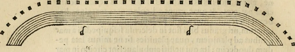 An illustration from Hieronymi Mercvrialis De arte gymnastica libri sex : in quibus exercitationum omnium vetustarum genera, loca, modi, facultates, & quidquid deniq. ad corporis humani exercitationes pertinet, diligenter explicatur .., 1573, leaf 37