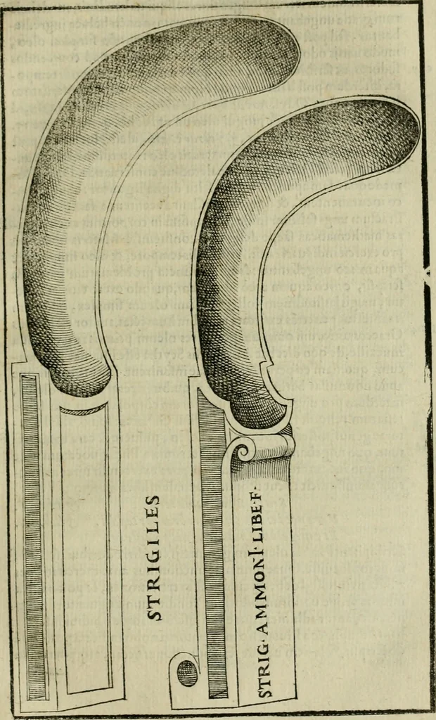 An illustration from Hieronymi Mercvrialis De arte gymnastica libri sex : in quibus exercitationum omnium vetustarum genera, loca, modi, facultates, & quidquid deniq. ad corporis humani exercitationes pertinet, diligenter explicatur .., 1573, leaf 46