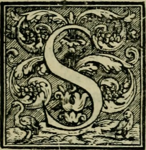 An illustration from Hieronymi Mercvrialis De arte gymnastica libri sex : in quibus exercitationum omnium vetustarum genera, loca, modi, facultates, & quidquid deniq. ad corporis humani exercitationes pertinet, diligenter explicatur .., 1573, leaf 6