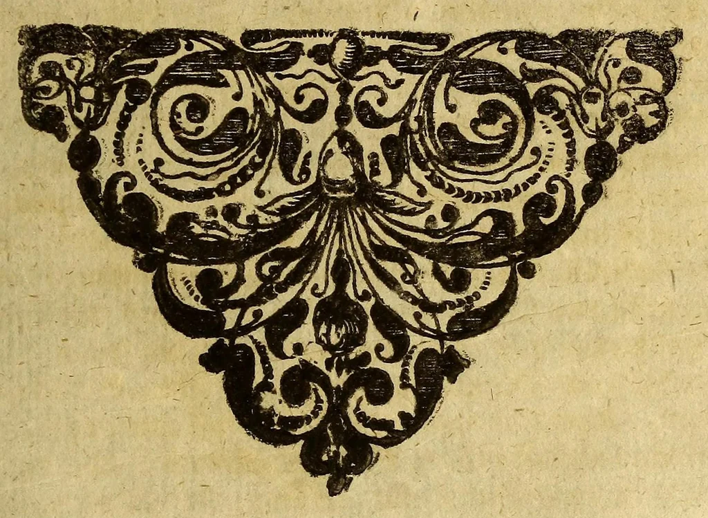 An illustration from Meridionalis nuncius das ist Ein wunder-seltzamer südischer Crinit- oder Comet-Stern, welchen der allmächtige und getreue Gott im Reste des 1664. Jahrs nach Christi Geburt, vom Aussgange Novembris biss in den Decembrem weit hinein, am Himmel gegen Mittage, nach Mitternacht in denen Morgen-Stunden, der untern Welt zur Warnung und Erleuchtung, angebrandt und hernieder gehänget hat: Wie solcher vor etlichen Jahren gerade umb diese Frist vom Herrn D. Tackio und Barth. Schimpfero &c. zuvor verkündiget, oder prognosticiret worden: nebst einem astrologischen und cabbalistischen Judicio so wohl jenes südischen, als des allerneuesten nordischen Cometens illustriret., 1665, leaf 33