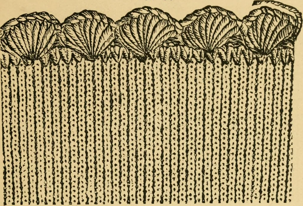 An illustration from The Merrow system of crocheting machinery and methods for finishing the edges of fabrics, 1889, leaf 12