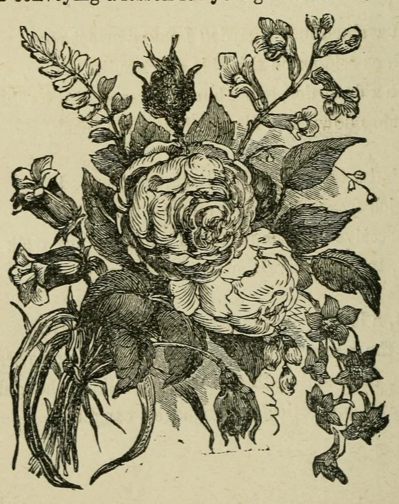 An illustration from Merry's book of puzzles ; Robert Merry's second book of puzzles ; Robert Merry's book of rhymes, leaf 222
