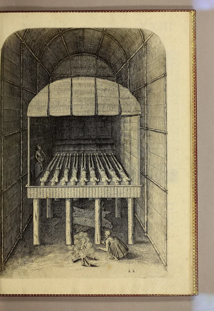 An illustration from Merueilleux et estrange rapport, toutesfois fidele, des commoditez qui se trouuent en Virginia, des facons des naturels habitans d'icelle, laquelle a esté nouuellement descouuerte par les Anglois que Mesire [sic] Richard Greinuile cheualier y mena en colonie lan.1585. : a la charge principale de Messire Walter Raleigh cheualier surintendant des Mines d'Estain, fauorisé par la royne d'Angleterre, et autorisé par ses lettres patentes., 1590, leaf 101