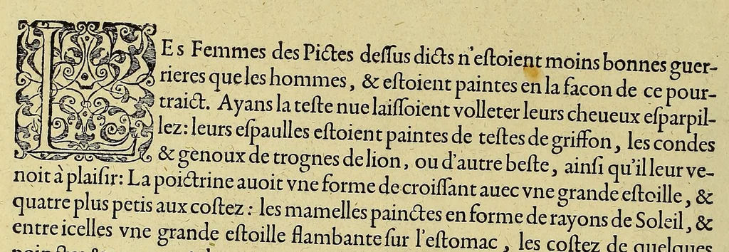 An illustration from Merueilleux et estrange rapport, toutesfois fidele, des commoditez qui se trouuent en Virginia, des facons des naturels habitans d'icelle, laquelle a esté nouuellement descouuerte par les Anglois que Mesire [sic] Richard Greinuile cheualier y mena en colonie lan.1585. : a la charge principale de Messire Walter Raleigh cheualier surintendant des Mines d'Estain, fauorisé par la royne d'Angleterre, et autorisé par ses lettres patentes., 1590, leaf 110