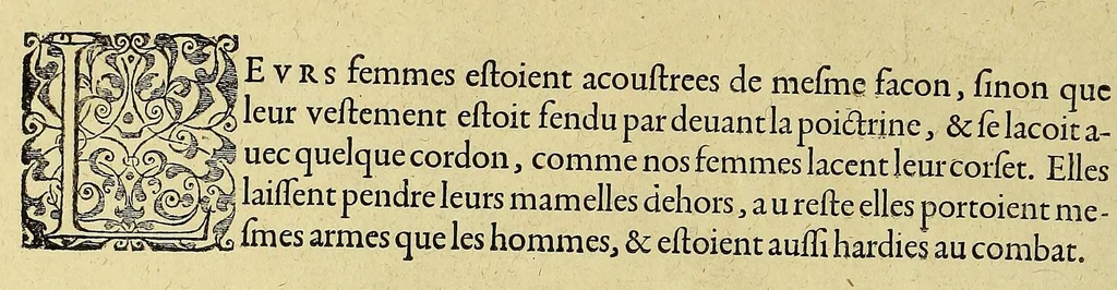 An illustration from Merueilleux et estrange rapport, toutesfois fidele, des commoditez qui se trouuent en Virginia, des facons des naturels habitans d'icelle, laquelle a esté nouuellement descouuerte par les Anglois que Mesire [sic] Richard Greinuile cheualier y mena en colonie lan.1585. : a la charge principale de Messire Walter Raleigh cheualier surintendant des Mines d'Estain, fauorisé par la royne d'Angleterre, et autorisé par ses lettres patentes., 1590, leaf 122