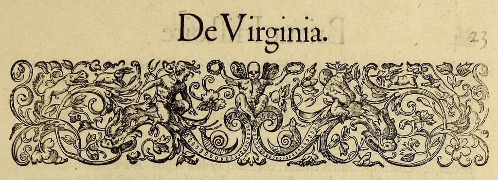 An illustration from Merueilleux et estrange rapport, toutesfois fidele, des commoditez qui se trouuent en Virginia, des facons des naturels habitans d'icelle, laquelle a esté nouuellement descouuerte par les Anglois que Mesire [sic] Richard Greinuile cheualier y mena en colonie lan.1585. : a la charge principale de Messire Walter Raleigh cheualier surintendant des Mines d'Estain, fauorisé par la royne d'Angleterre, et autorisé par ses lettres patentes., 1590, leaf 29