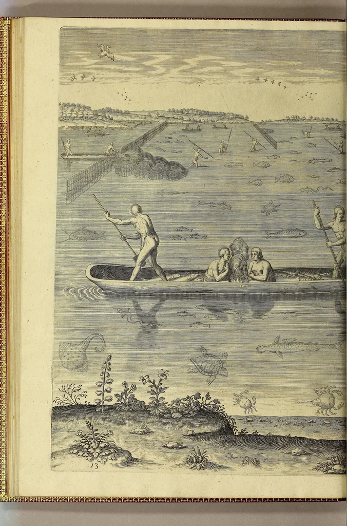 An illustration from Merueilleux et estrange rapport, toutesfois fidele, des commoditez qui se trouuent en Virginia, des facons des naturels habitans d'icelle, laquelle a esté nouuellement descouuerte par les Anglois que Mesire [sic] Richard Greinuile cheualier y mena en colonie lan.1585. : a la charge principale de Messire Walter Raleigh cheualier surintendant des Mines d'Estain, fauorisé par la royne d'Angleterre, et autorisé par ses lettres patentes., 1590, leaf 72