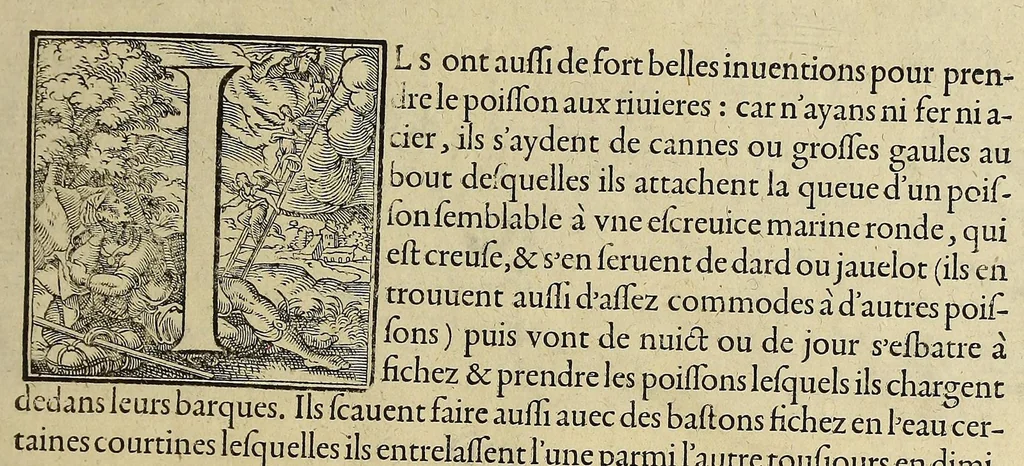 An illustration from Merueilleux et estrange rapport, toutesfois fidele, des commoditez qui se trouuent en Virginia, des facons des naturels habitans d'icelle, laquelle a esté nouuellement descouuerte par les Anglois que Mesire [sic] Richard Greinuile cheualier y mena en colonie lan.1585. : a la charge principale de Messire Walter Raleigh cheualier surintendant des Mines d'Estain, fauorisé par la royne d'Angleterre, et autorisé par ses lettres patentes., 1590, leaf 73