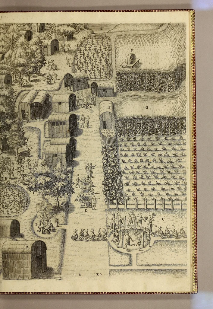 An illustration from Merueilleux et estrange rapport, toutesfois fidele, des commoditez qui se trouuent en Virginia, des facons des naturels habitans d'icelle, laquelle a esté nouuellement descouuerte par les Anglois que Mesire [sic] Richard Greinuile cheualier y mena en colonie lan.1585. : a la charge principale de Messire Walter Raleigh cheualier surintendant des Mines d'Estain, fauorisé par la royne d'Angleterre, et autorisé par ses lettres patentes., 1590, leaf 95