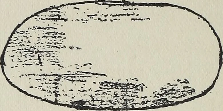 An illustration from The message of Anne Simon, 1920, leaf 103