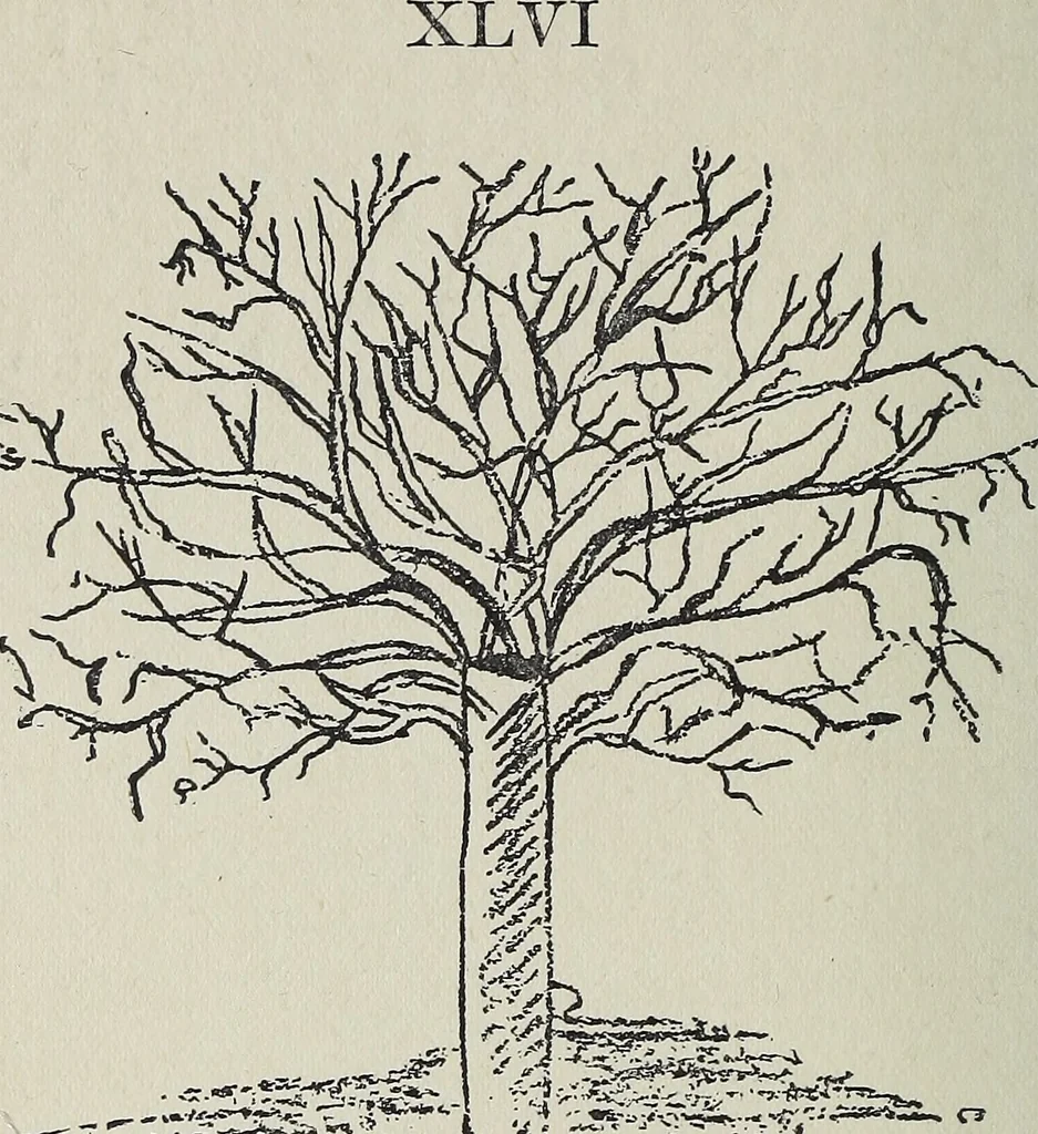 An illustration from The message of Anne Simon, 1920, leaf 107