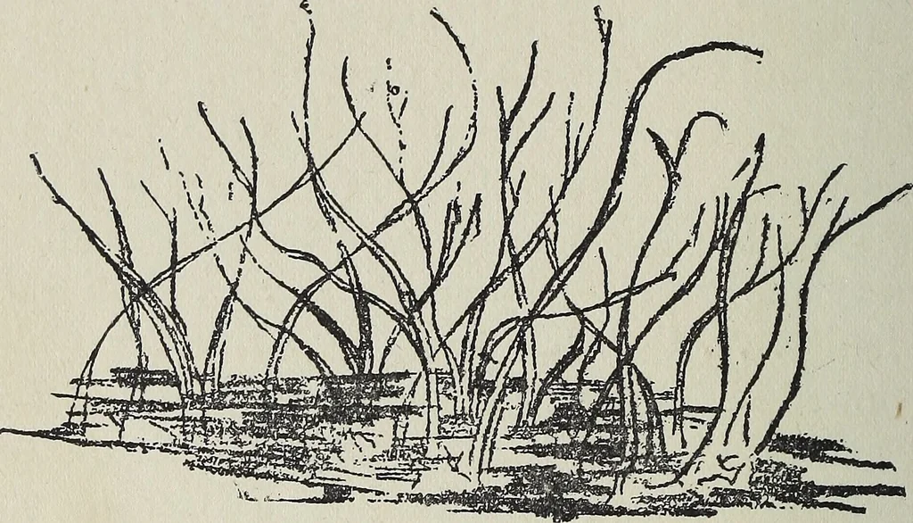 An illustration from The message of Anne Simon, 1920, leaf 111