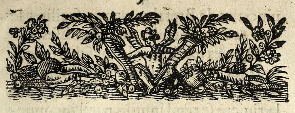 An illustration from A messieurs des Estats en la Chambre de la noblesse., 1615, leaf 9