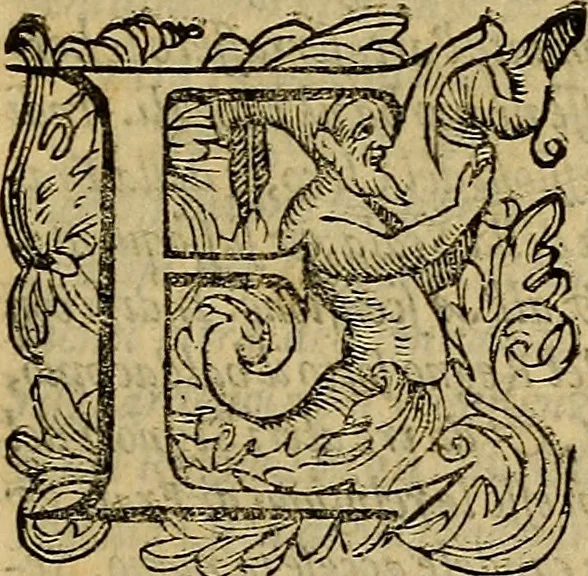 An illustration from Messina, città nobilissima : descritta in VIII. libri, 1606, leaf 114