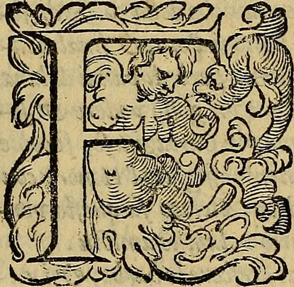 An illustration from Messina, città nobilissima : descritta in VIII. libri, 1606, leaf 118