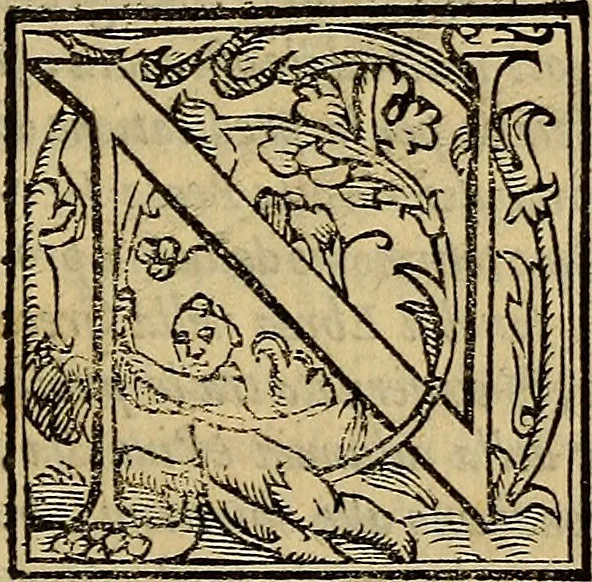 An illustration from Messina, città nobilissima : descritta in VIII. libri, 1606, leaf 128