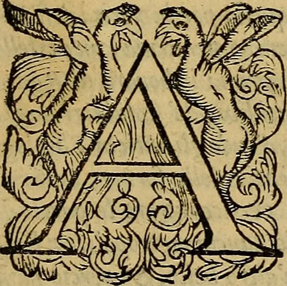An illustration from Messina, città nobilissima : descritta in VIII. libri, 1606, leaf 20