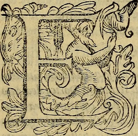 An illustration from Messina, città nobilissima : descritta in VIII. libri, 1606, leaf 50