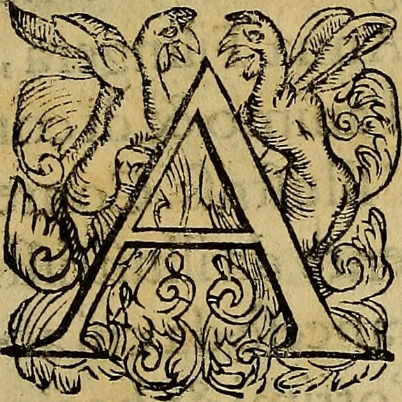 An illustration from Messina, città nobilissima : descritta in VIII. libri, 1606, leaf 6