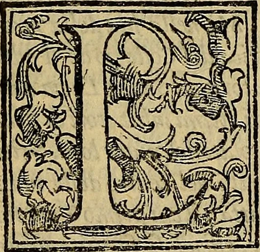 An illustration from Messina, città nobilissima : descritta in VIII. libri, 1606, leaf 68