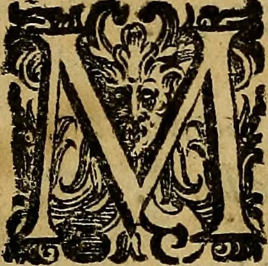 An illustration from Messina, città nobilissima : descritta in VIII. libri, 1606, leaf 8