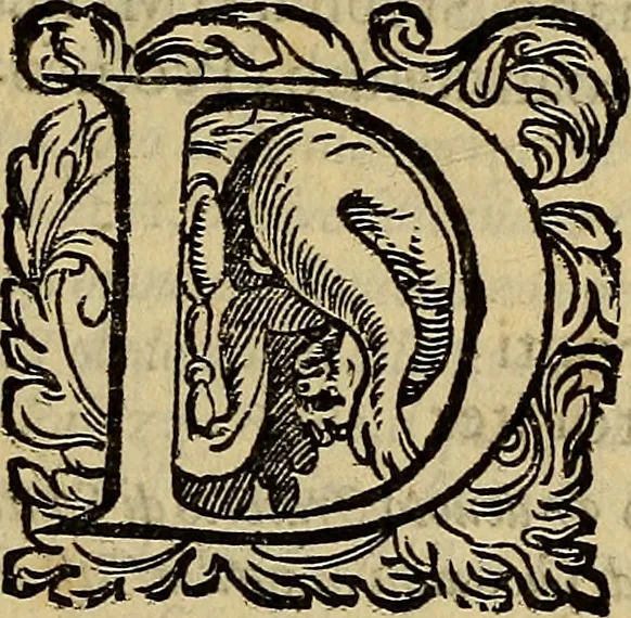 An illustration from Messina, città nobilissima : descritta in VIII. libri, 1606, leaf 86