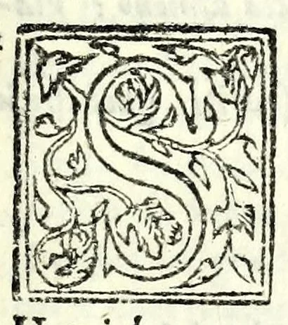 An illustration from Mestola : comedia, 1583, leaf 19