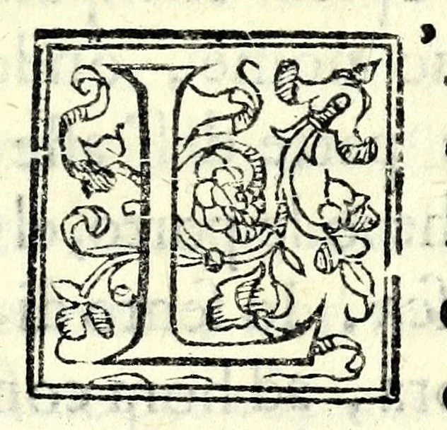 An illustration from Mestola : comedia, 1583, leaf 9