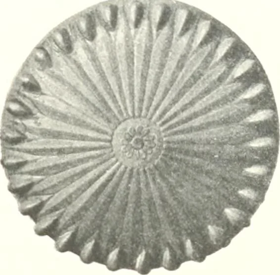 An illustration from Metallgefässe, 1901, leaf 100