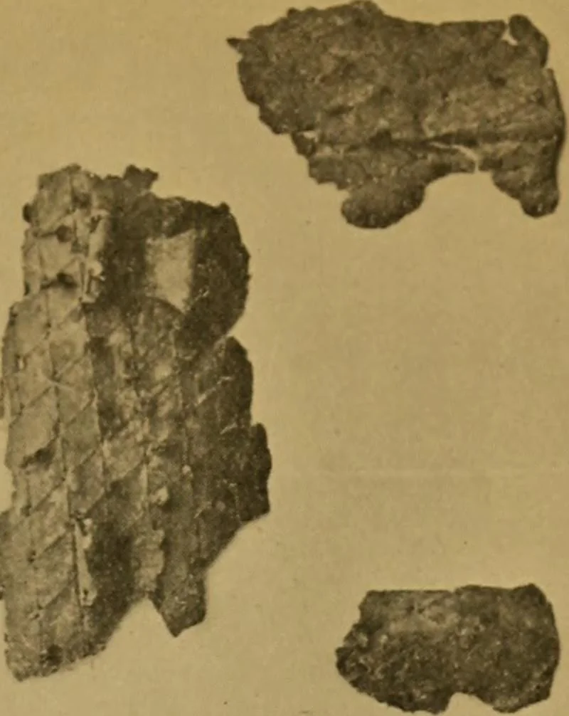 An illustration from Metals and metal-working in old Japan, 1915, leaf 12