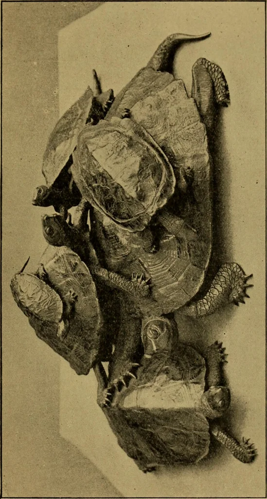 An illustration from Metals and metal-working in old Japan, 1915, leaf 128