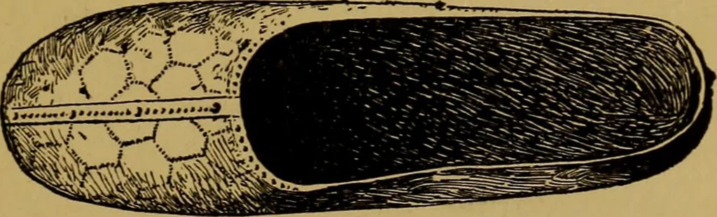 An illustration from Metals and metal-working in old Japan, 1915, leaf 14