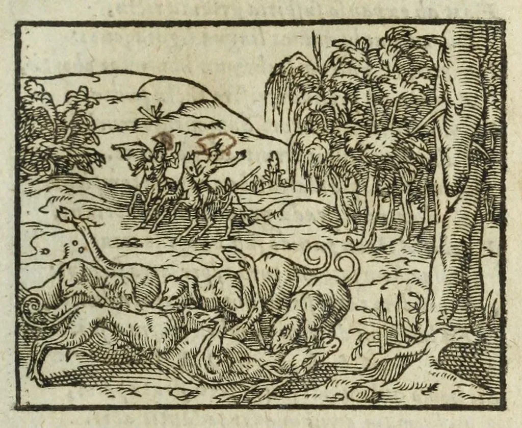 An illustration from Metamorphoses Ovidii : argvmentis quidem soluta oratione, enarrationibus autem & allegoriis elegiaco versu accuratissimè expositae, summaq[ue] diligentia ac studio illustratae, 1583, leaf 101