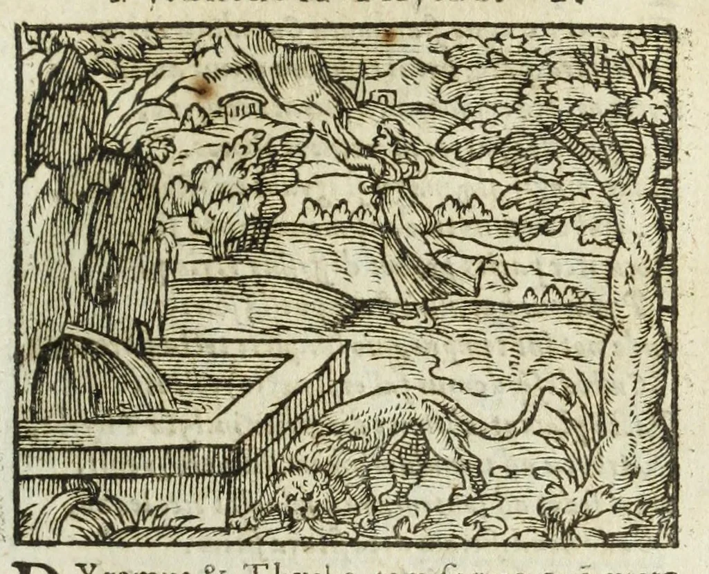 An illustration from Metamorphoses Ovidii : argvmentis quidem soluta oratione, enarrationibus autem & allegoriis elegiaco versu accuratissimè expositae, summaq[ue] diligentia ac studio illustratae, 1583, leaf 111