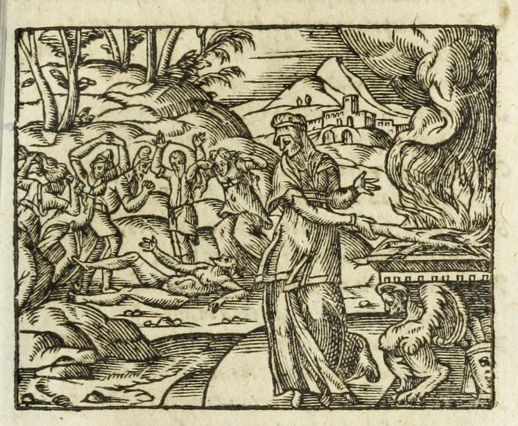 An illustration from Metamorphoses Ovidii : argvmentis quidem soluta oratione, enarrationibus autem & allegoriis elegiaco versu accuratissimè expositae, summaq[ue] diligentia ac studio illustratae, 1583, leaf 217